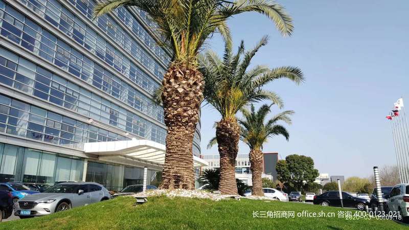 G2706 ٴBa(chn)I(y)@^(q)h(zhn)(hu)·Ԫ· аl(f)kS 100ƽ